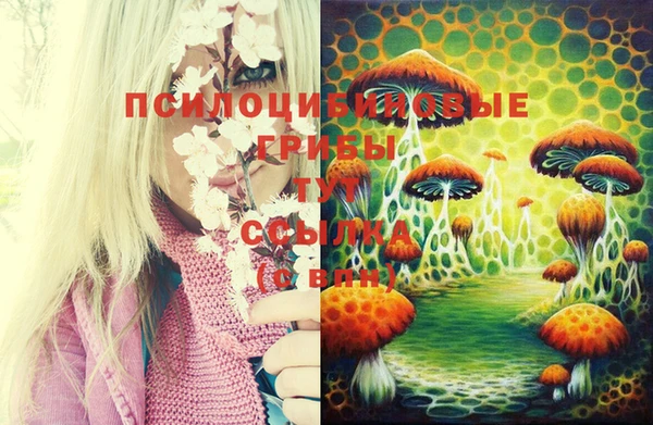 ГАЛЛЮЦИНОГЕННЫЕ ГРИБЫ Абинск