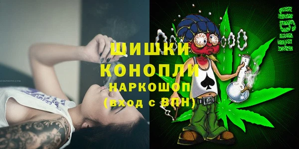 стаф Абаза